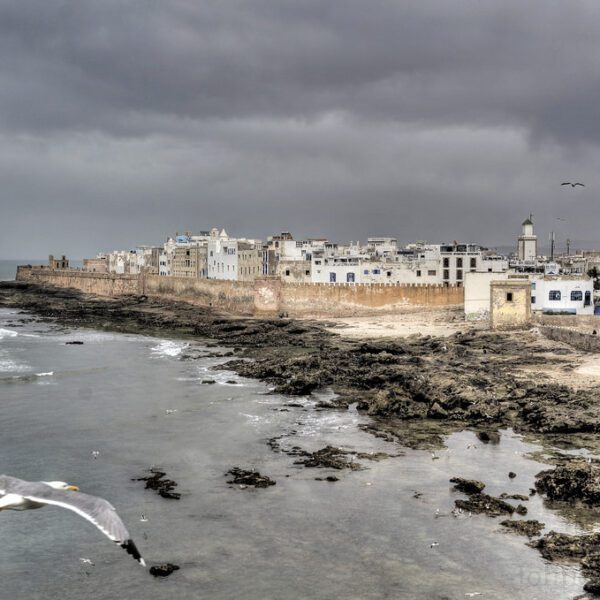 12 days Tour from Casablanca to the Atlantic Coast and Desert