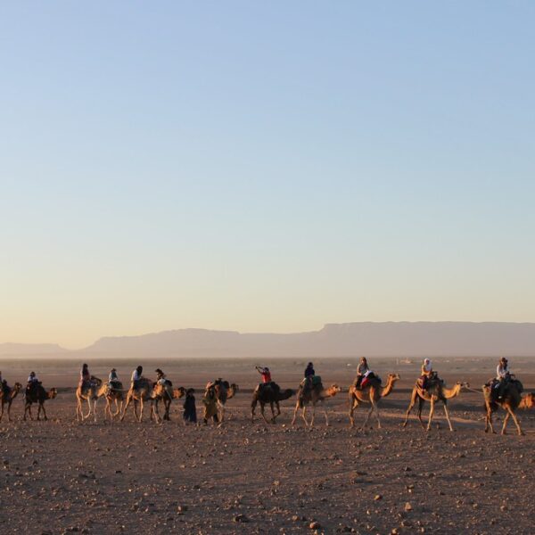 2 days tour from Marrakech to the Zagora Desert