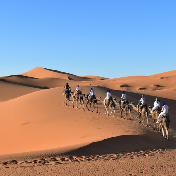 a group of people riding camels in the desert with Sahara in the background
